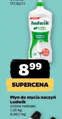 Netto Płyn do mycia naczyń Ludwik oferta