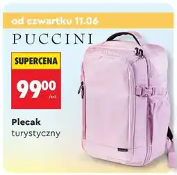 Biedronka Plecak turystyczny oferta