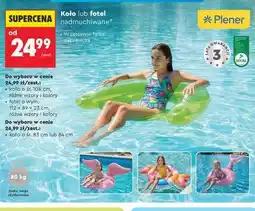 Biedronka Koło lub fotel nadmuchiwane oferta