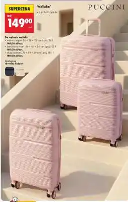 Biedronka Walizka oferta