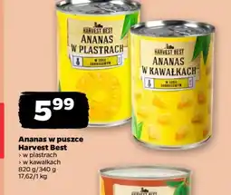 Netto Harvest Best Ananas w puszce oferta
