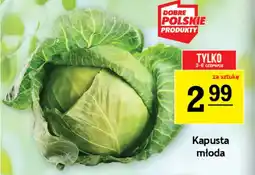 Gram Market Kapusta młoda oferta