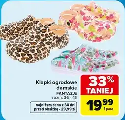 Carrefour Klapki ogrodowe damskie FANTAZJE oferta
