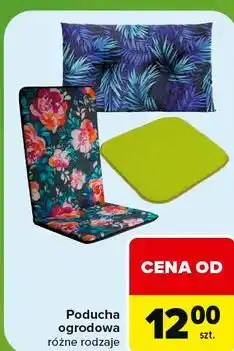 Carrefour Poducha ogrodowa oferta