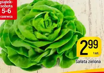 Sałata zielona