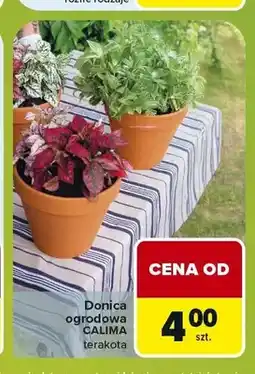 Carrefour Donica ogrodowa Calima terakota oferta