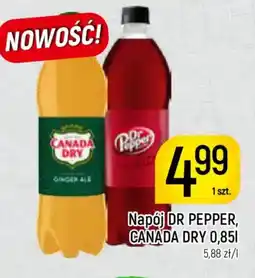Delikatesy Piotruś Pan Napój dr pepper, canada dry oferta