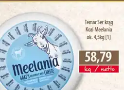 DUO-TES Temar Ser krąg Kozi Meelania oferta