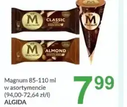 Livio Algida Magnum oferta