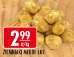 Sklepy Doroty Ziemniaki młode luz oferta