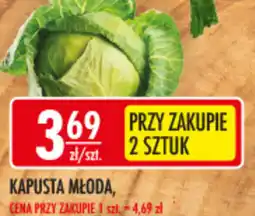 Sklepy Doroty Kapusta młoda oferta