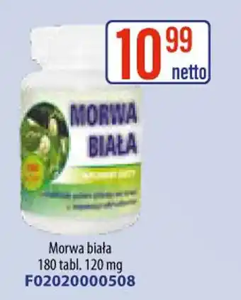 AT Morwa biała oferta
