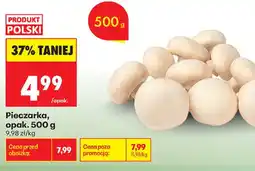 Biedronka Pieczarka oferta