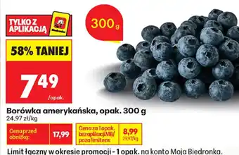 Biedronka Borówka amerykańska oferta