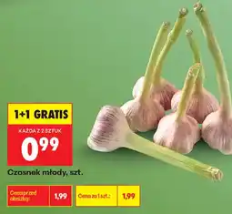 Biedronka Czosnek młody oferta