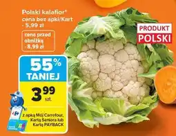 Carrefour Kalafior polska oferta