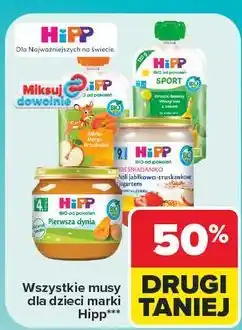 Carrefour Mus gruszki-banany-winogrona z owsem Hipp Bio Sport oferta