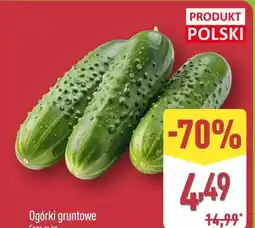 ALDI Ogórki gruntowe oferta