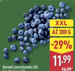 ALDI Borówki amerykańskie XXL oferta