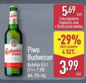 ALDI Piwo Budweiser oferta