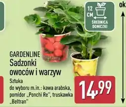 ALDI GARDENLINE Sadzonki owoców i warzyw oferta