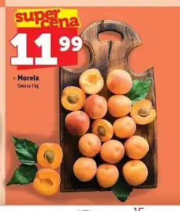 Topaz Morela oferta