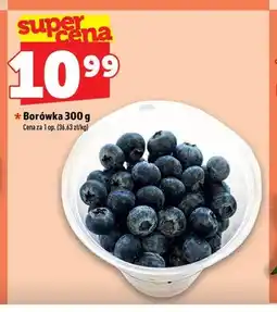 Topaz Borówka oferta