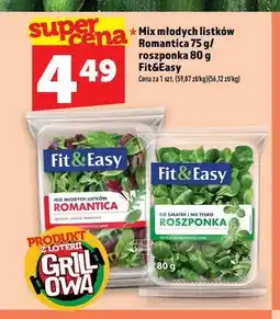 Topaz Mix młodych listków Romantica Fit&Easy oferta