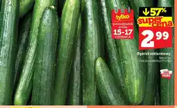 Topaz Ogórek szklarniowy oferta