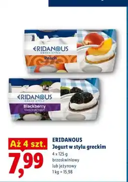 Lidl Eridanous Jogurt w stylu greckim oferta