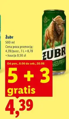 Lidl Piwo Żubr oferta