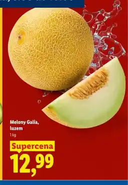 Lidl Melony Galia, luzem oferta