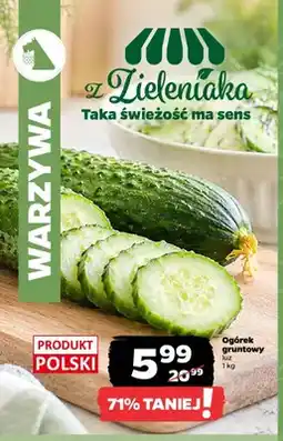 Netto Ogórek gruntowy luz oferta