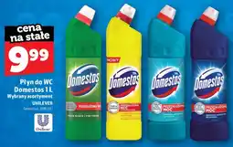 Topaz Płyn do WC Domestos Extended Power Pine Fresh oferta