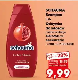 Kaufland SCHAUMA Szampon lub Odżywka do włosów oferta