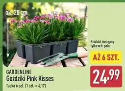 ALDI GARDENLINE oferta