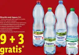 Lidl Wszystkie wody Saguaro oferta