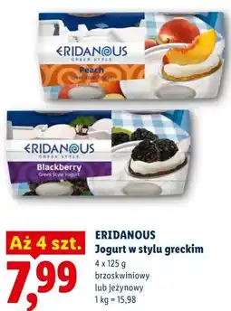 Lidl Eridanous Jogurt w stylu greckim oferta