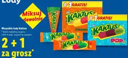 Lidl Wszystkie lody Kaktus oferta