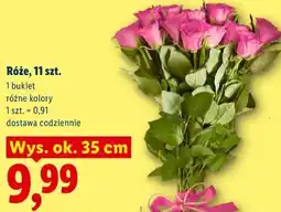 Lidl Róże, 11 szt oferta