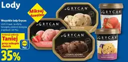Lidl Wszystkie lody Grycan oferta
