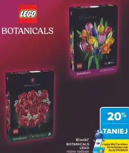 Carrefour LEGO BOTANICALS Klocki oferta