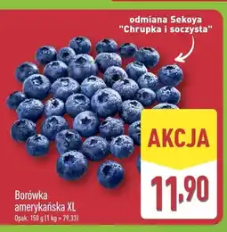 ALDI Borówka amerykańska XL Sekoya oferta