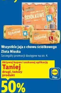 Lidl Złota Nioska Wszystkie jaja z chowu ściółkowego oferta
