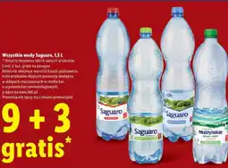 Lidl Saguaro Wszystkie wody oferta