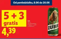 Lidl Żubr Piwo oferta