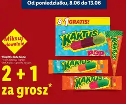 Lidl Nestlé Wszystkie lody Kaktus oferta
