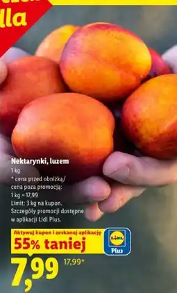 Lidl Nektarynki, luzem oferta