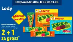 Lidl Nestle Wszystkie lody Kaktus oferta