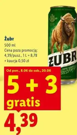 Lidl Żubr Piwo oferta